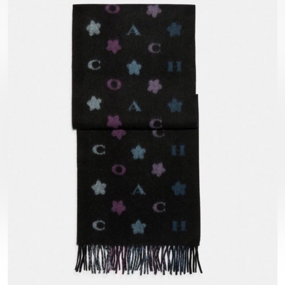 Coach star stripe print wool scarf